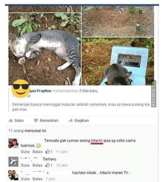 kampvngan's tweet photo. Udah sedih-sedih liat fotonya. Bubar gara2 baca commentnya 😂😂😂😂😂😂😂😂😂😂😂😂😂😂 https://t.co/Bqk3gqink8