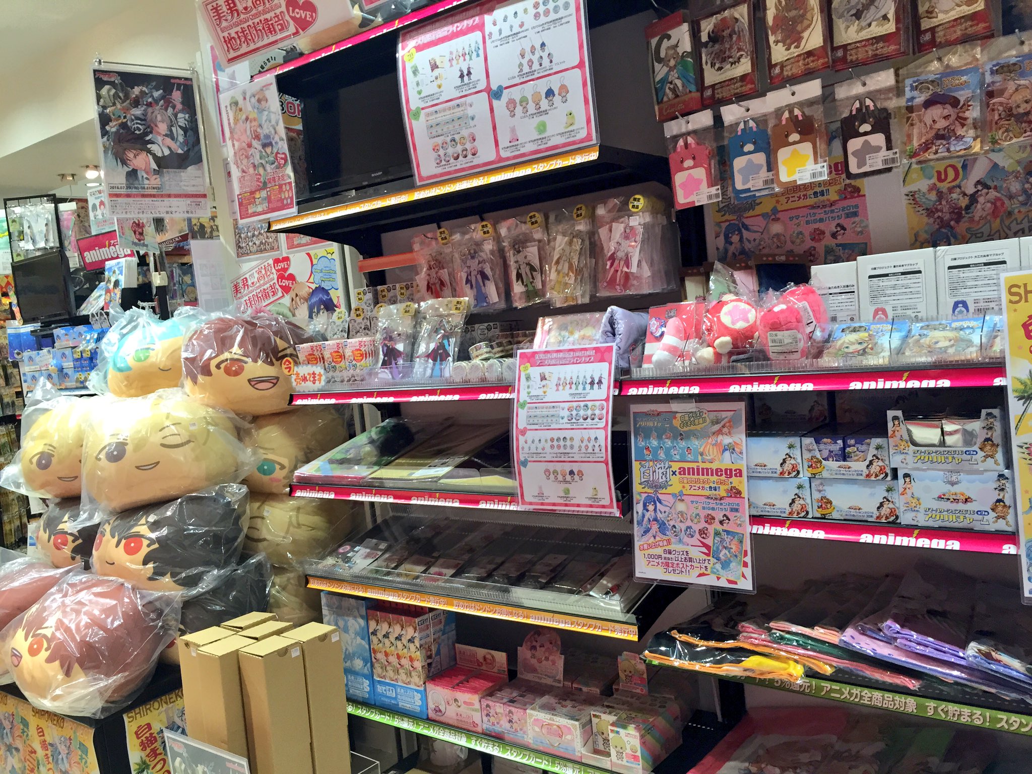 アニメガ ソフマップ 名古屋駅西店 در توییتر リニューアルオープン 明日10 00より アニメガ名古屋店がリニューアルオープン致します 店内の様子を先駆けてお見せしちゃいます 新商品や完売だったあの商品も取り揃えて スタッフ一同皆様 アニメガ ソフマップ 名古屋駅西店 در توییتر リニューアルオープン 明日10 00より アニメガ名古屋店がリニューアルオープン致します 店内の様子を先駆けてお見せしちゃいます 新商品や完売だったあの商品も取り揃えて スタッフ一同皆様