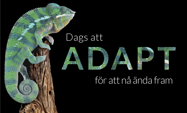 KennedyTereza's tweet photo. Premiär för författarverktyget Adapt Builder. Frukostseminarium 5 oktober. Anmäl dig nu: https://t.co/5HjfPvrO9s https://t.co/QzREb3q3VT