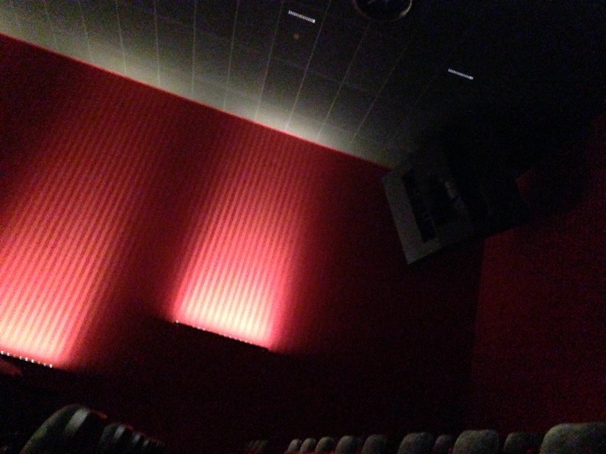 Austrianbrothers tweet media