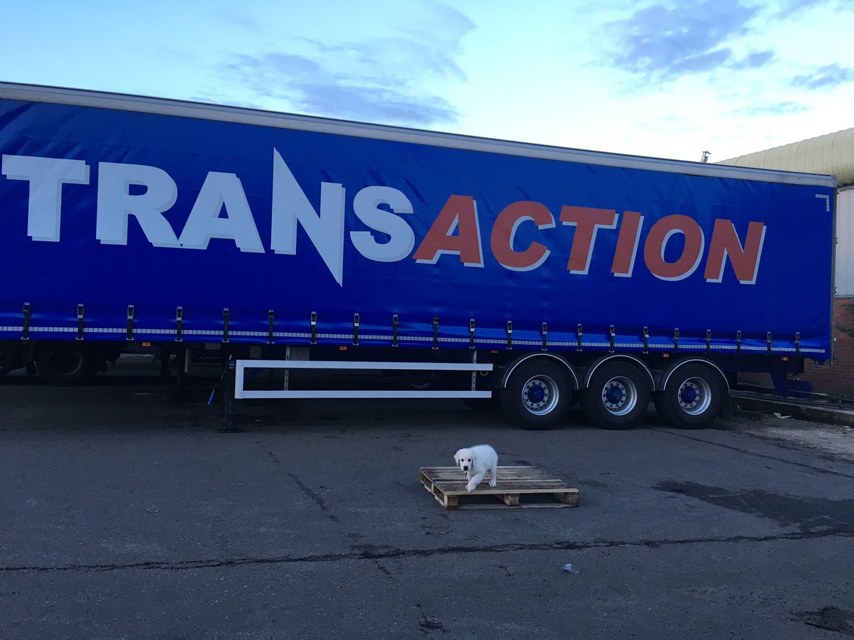 Transaction Int'l tweet media