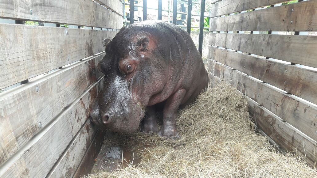 InfiPereira's tweet photo. Perla y Pancha van llegando a Ukumarí https://t.co/W9EY0TLuok