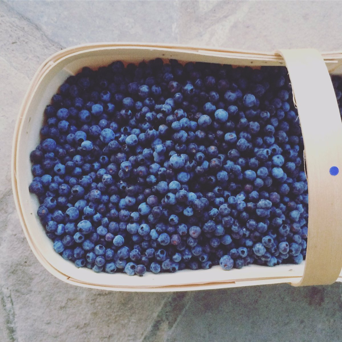 Wild Blueberry ice cream this weekend!! See you soon!