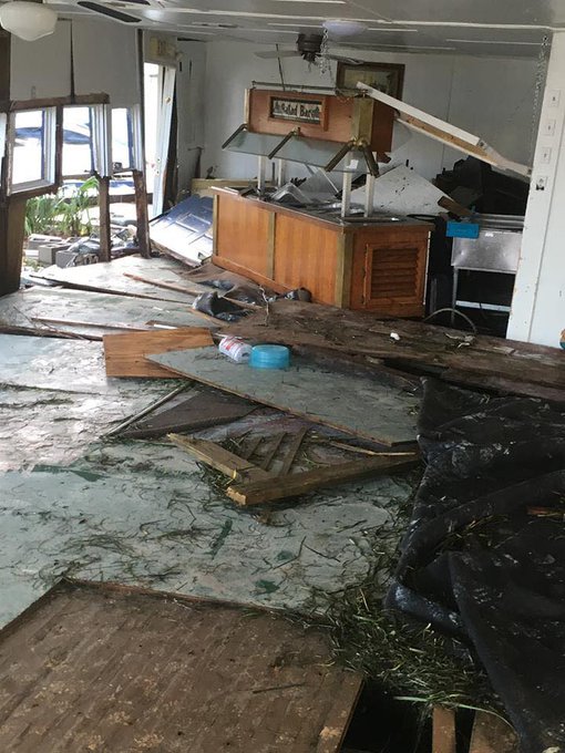 View image on Twitter