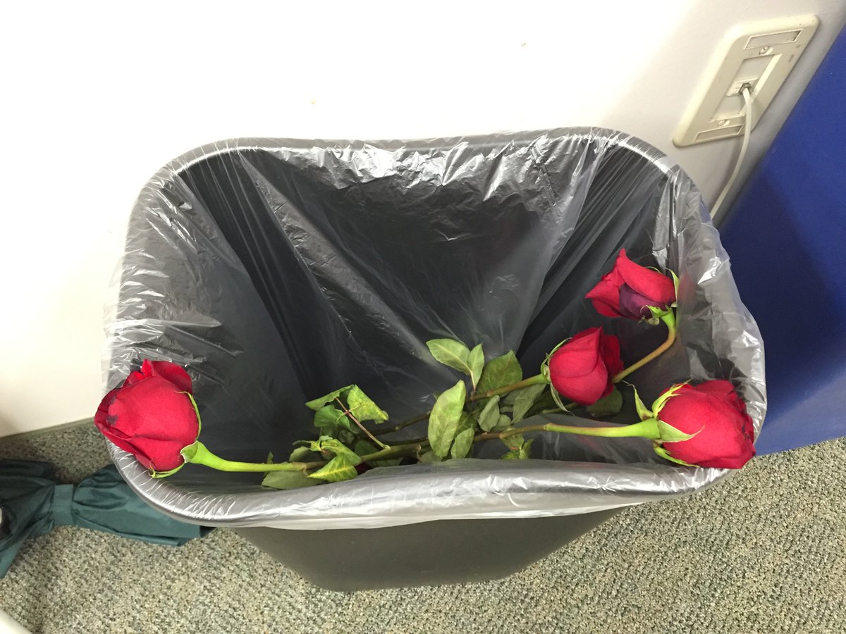 _Spraynard's tweet image. Sometimes, something beautiful is also trash. (Like me)