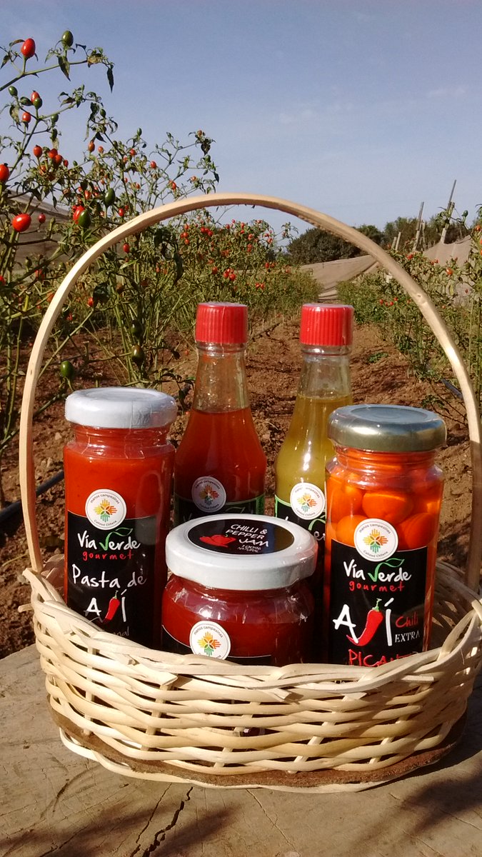 viaverdegourmet.cl