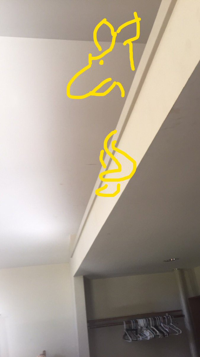 PalmerRoo's tweet image. #roos from the 6 #kfar #binyanechad  #yar #roounion