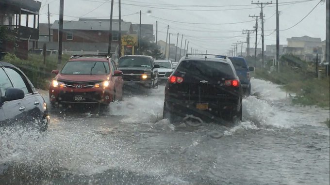 View image on Twitter