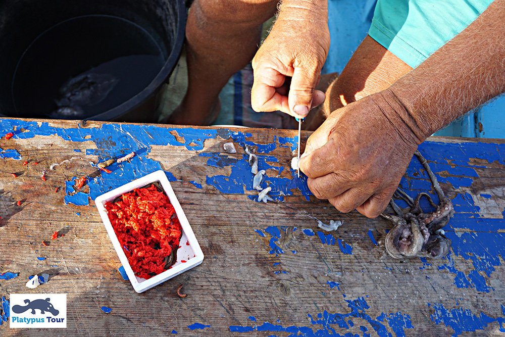 #Fishing is one of our activities. Here the captain is preapering the lines. Catalogue: buff.ly/2bZNWy1