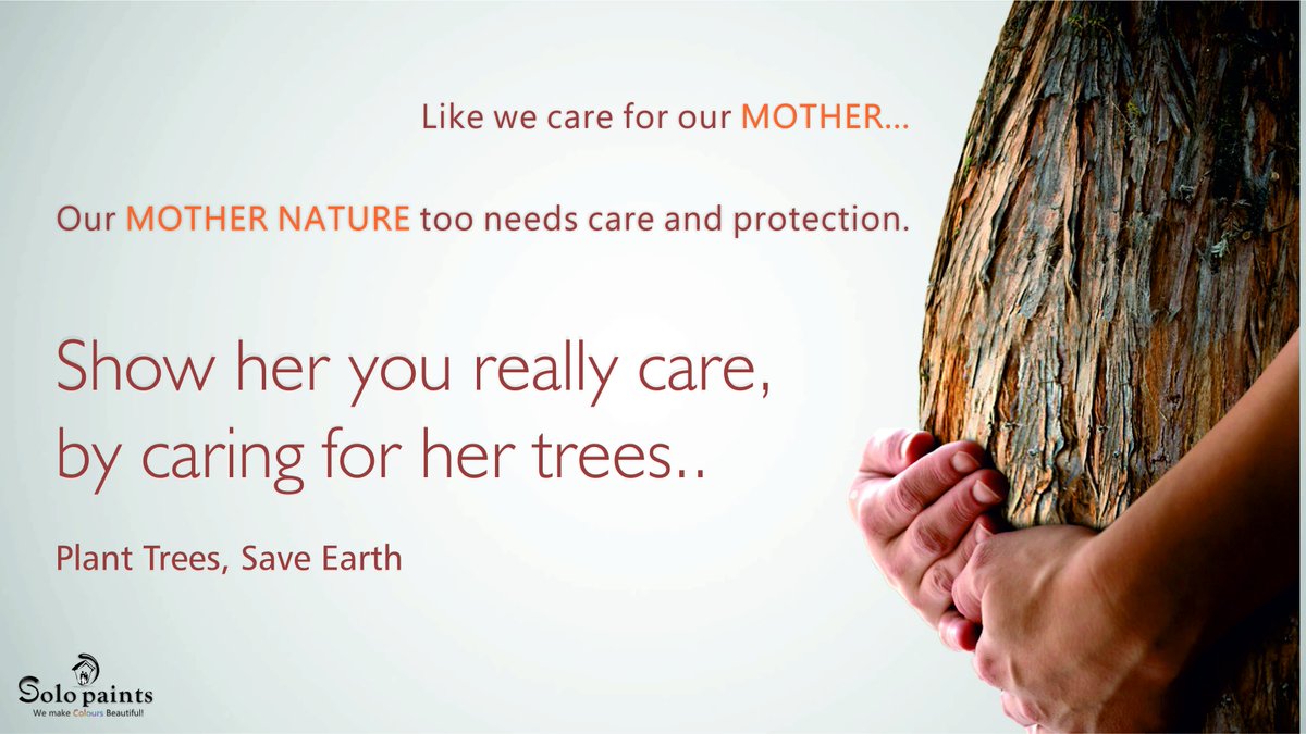 solopaints's tweet photo. Plant a HOPE #planttrees #saveearth #nature #solopaints https://t.co/RuHygtVYPG