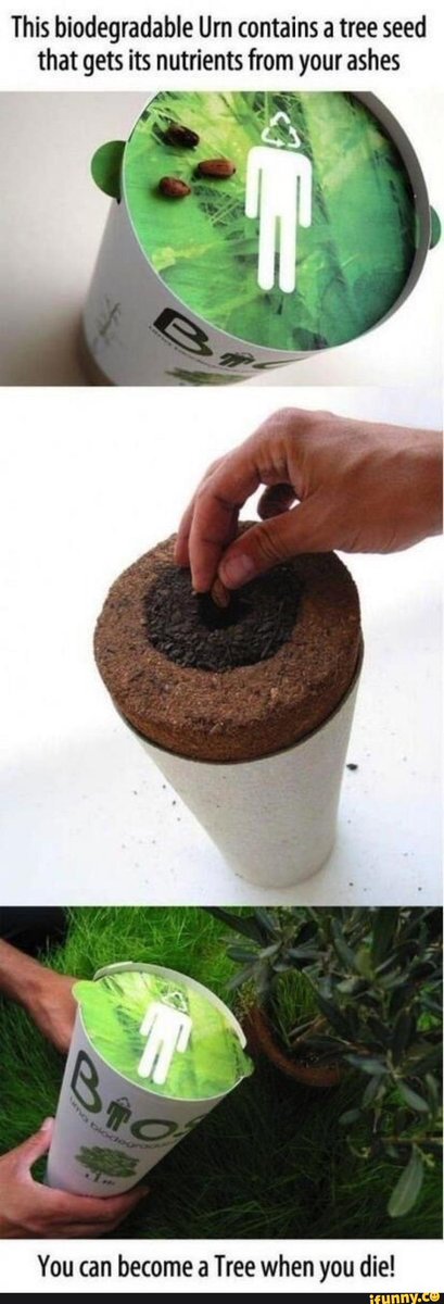 hidden_form's tweet image. then turn me into a chair pls