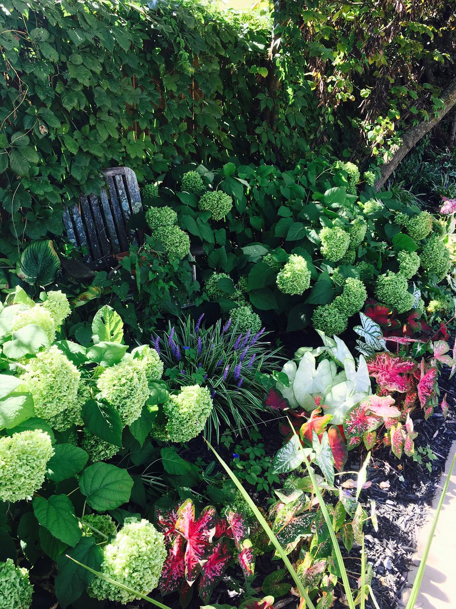 GrandEventsPlan's tweet image. Need outdoor space in downtown Lexington?

We have a private Garden for special events
GrandReserveEvents.com