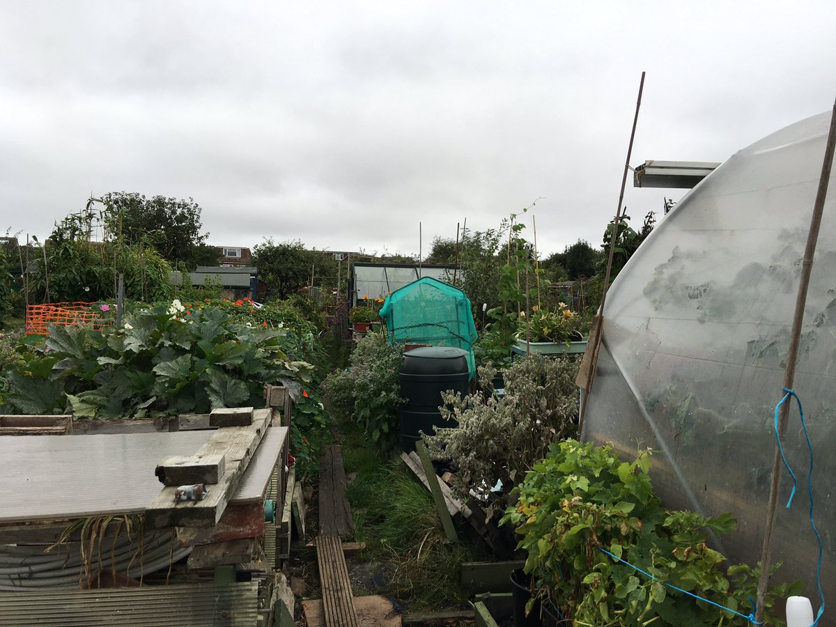 sarfsee's tweet photo. Bleak day at the plot today, showers off &amp; on since 12:15 @bbcweather forecast rain from 16:00 here #WrongYetAgain https://t.co/HZ1vU0V0fe