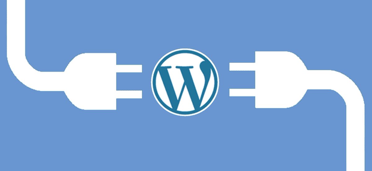 SED Web tweet media