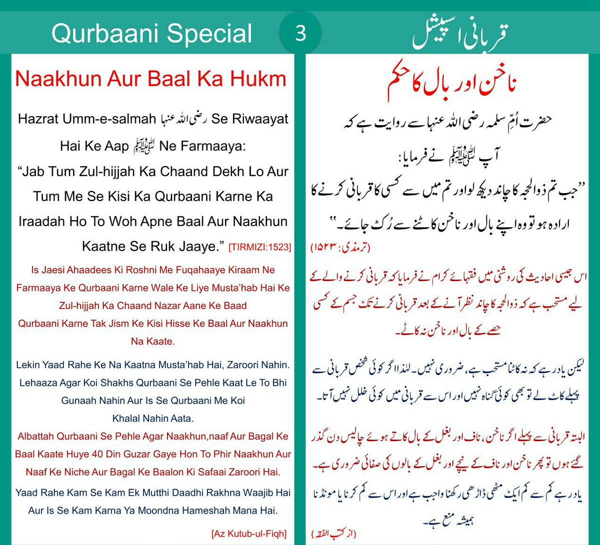 Qurbaani Special...