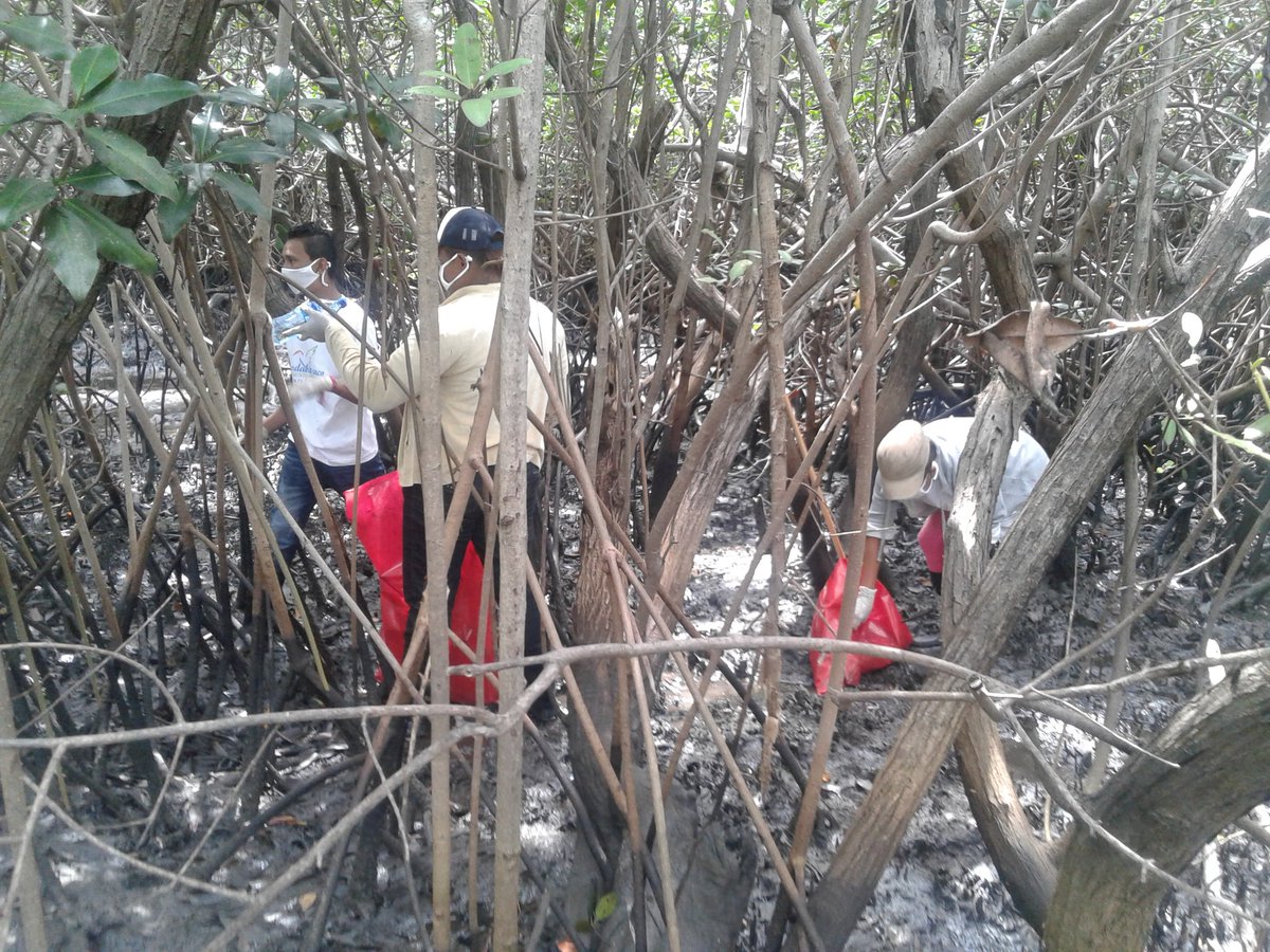 #OrgulloDeMiPais Movimiento Ambientalista de la Juventud Sandinista  apoya recoleccion de reciduos en Puerto Sandino
