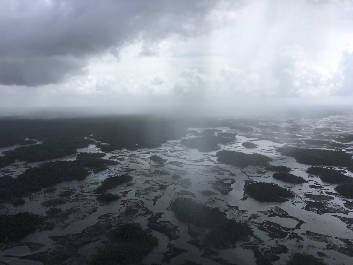 some stray shrs along the gulf coast. But blue skies out the other window. #Hermine #aerials #outthechopperwindow