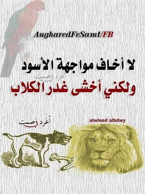 sarsr23's tweet photo. https://t.co/h7oUG51q84