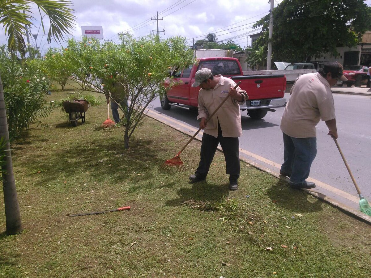Continúan los trabajos d <a href="/PaulCarrillo2/">Paul Carrillo</a> en todo el municipio, limpieza de camellones <a href="/VivoEnCancun/">Vivo en Cancún 🏖️</a> <a href="/AlejandroRosel7/">ALEJANDRO ROSEL</a>