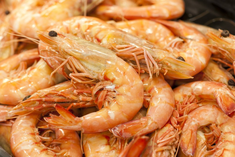 Try world renowned certified sustainable <a href="/SGkingprawns/">SpncrGulf KingPrawns</a> @ our stand today in #TasteSA #MSCcertification #AdelShow