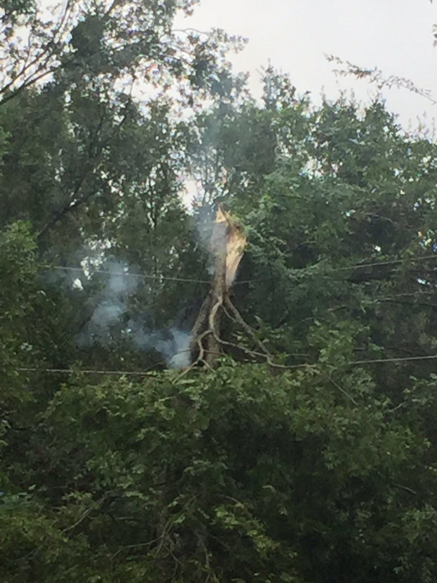 aaronquinn's tweet photo. @scegnews We have a fire in a down tree very close to our house. Firefighters can't do anything please hurry. https://t.co/kTjjdgQrdz