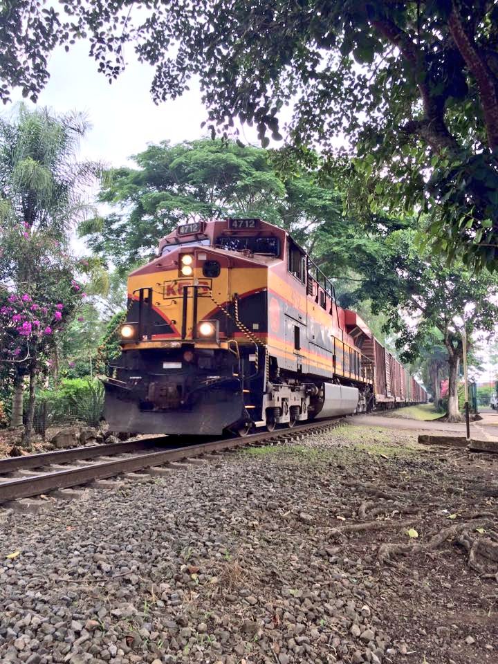 VeracruzTurismo's tweet photo. ¿Ya conoces @SenderosdelCafe? 
Un recorrido #DeNuestraFincaASuTaza con @BolaDeOro_ en Coatepec y Xico #Veracruz. https://t.co/MHtILG6kT0