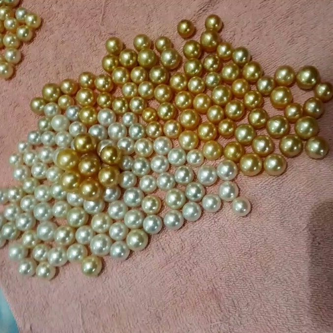 rodhy_scrab's tweet image. pearl