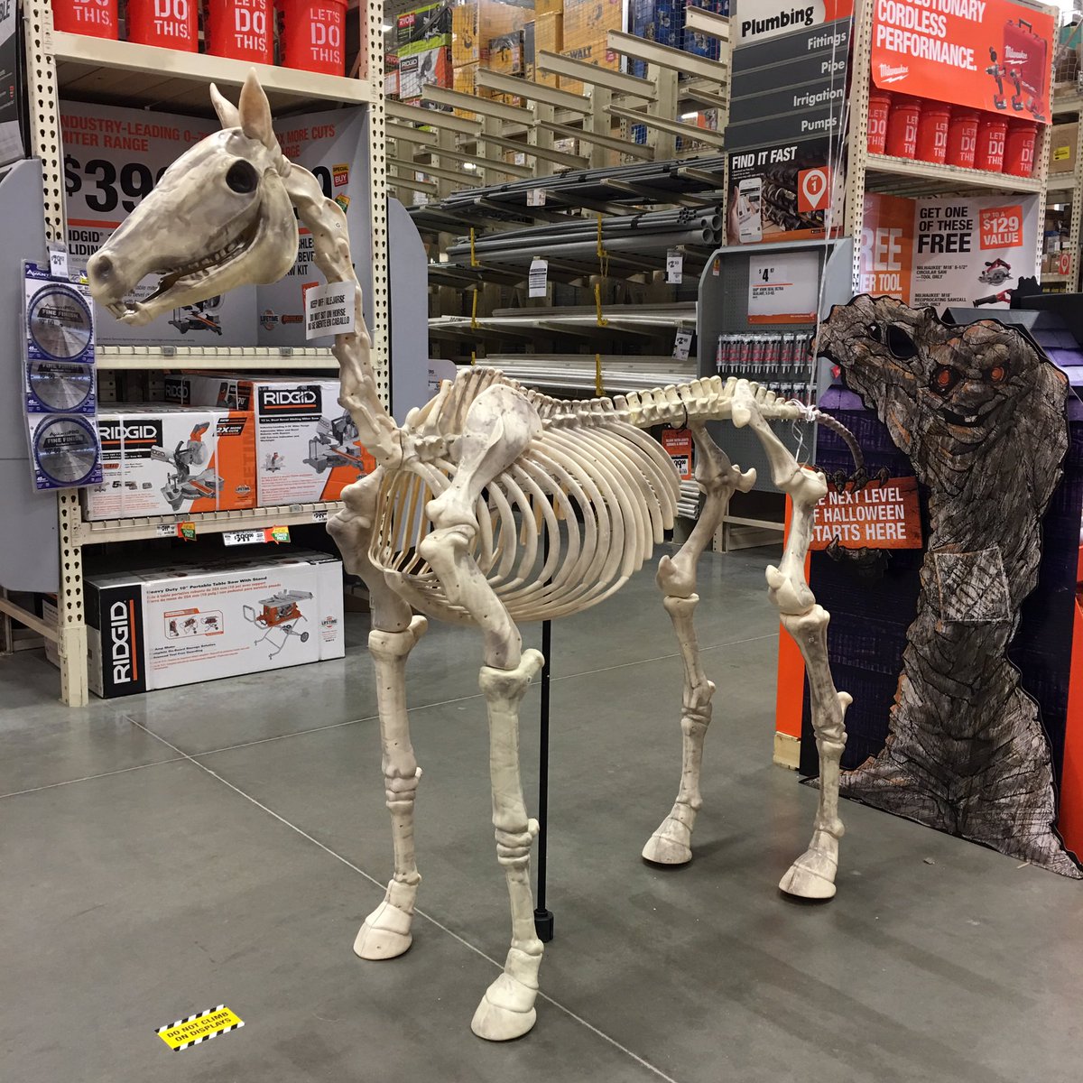 Jennifer on Twitter Home Depot has a big horse skeleton 
