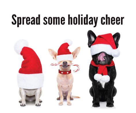 PremierRails's tweet photo. Come join our team for the holidays! Looking for Marketing Coordinators Apply at https://t.co/h8Yrz2Kwev #jobs https://t.co/FKfxgzsNa2