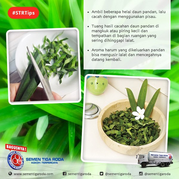 sementigaroda's tweet photo. Sudah membersihkan rumah tapi lalat masih berseliweran? Coba tips ampuh yang satu ini Sahabat Tiga Roda. #STRTips https://t.co/qs237H7EBV