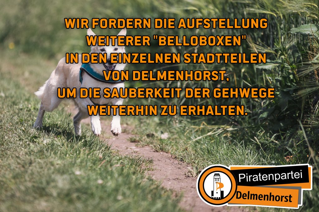 #dailyposts #piraten #kwnds16 #delmenhorst