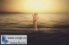 learish05's tweet image. В Выксе следователи провели проверку по факту гибели ребенка в водоеме