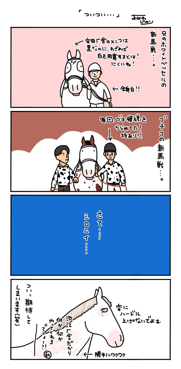 おがわじゅり いろいろな意味でシロニイの新馬戦 特にパドック は期待してしまいますす 笑 T Co Jedeil8zeq Twitter おがわじゅり いろいろな意味でシロニイの新馬戦 特にパドック は期待してしまいますす 笑 T Co Jedeil8zeq Twitter