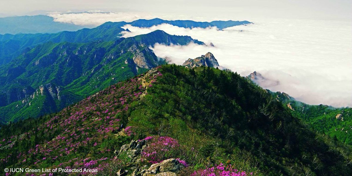 PRESS RELEASE: New coalition to scale private conservation investment at #IUCNcongress bit.ly/2bK7Cqe