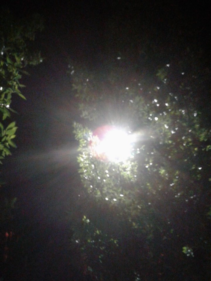 Patrickcapps4's tweet image. Do you wanna try fame ?? The first time is free.. 😊