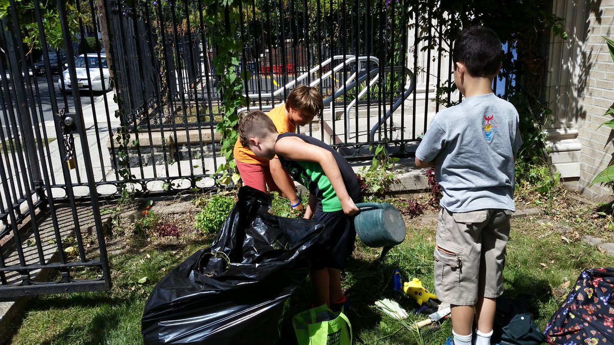 megdcarson's tweet image. #Weegarden, #weeclean