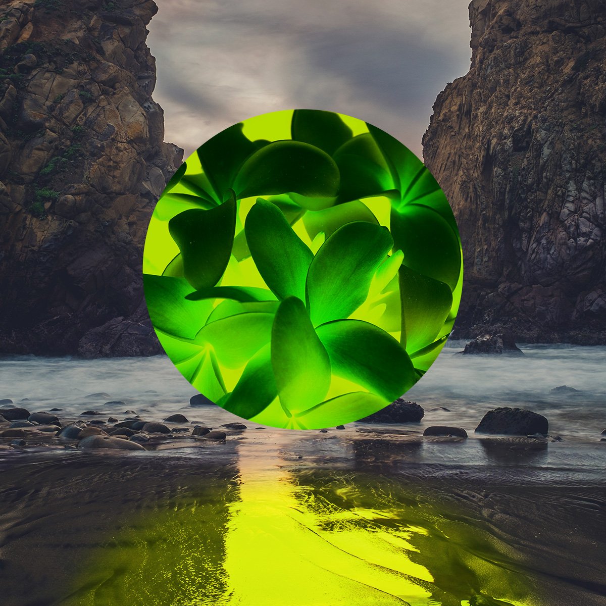 iamcrimeart's tweet image. #ICYMI

Day 9 of #iamcrime3aday bit.ly/2bTlgqk        

#art #CaraDelevingne #Flower #Flowa #Waves