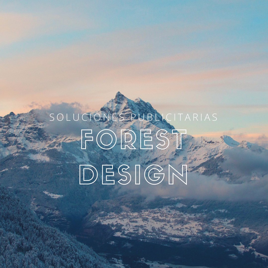 forestdesign_cl's tweet image. Lleva tu marca a nuevas alturas con Forest Design... 🗻