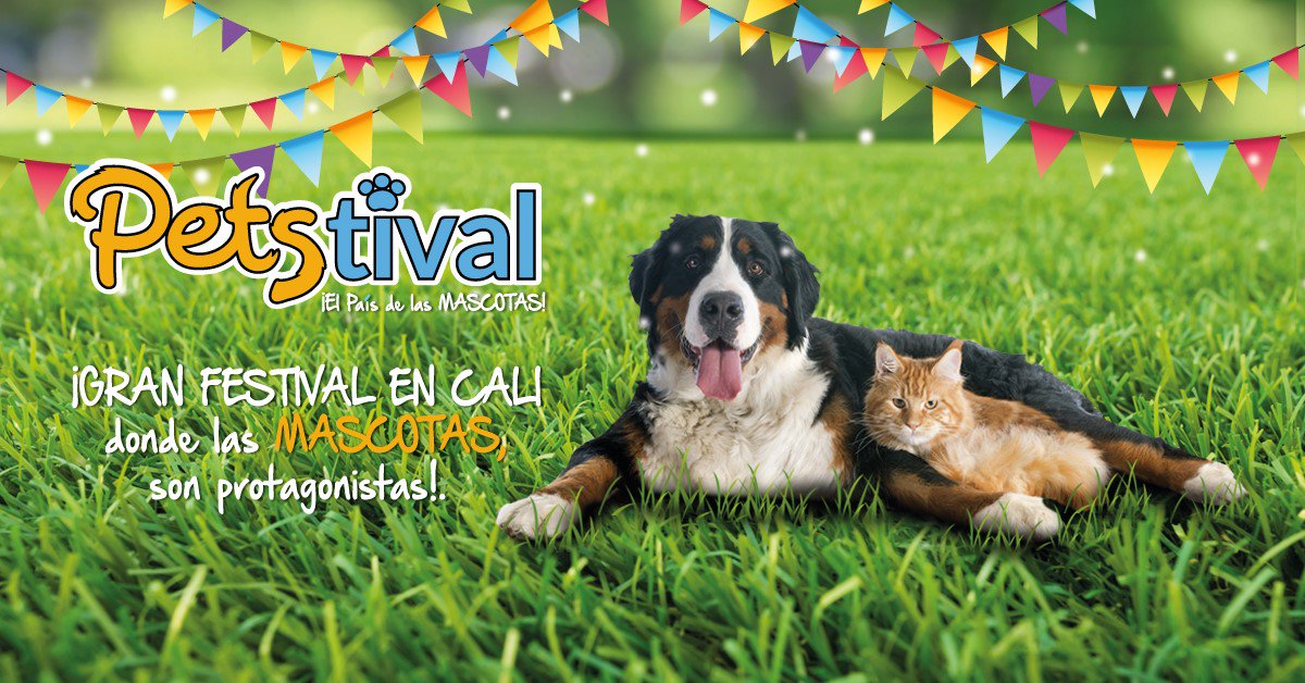 elpaiscali's tweet photo. #Petstival ¡Te esperamos el 24 de septiembre en la zona verde de la 14 Valle del Lili! https://t.co/RksZkG2Prq https://t.co/v7cyIuKyAY