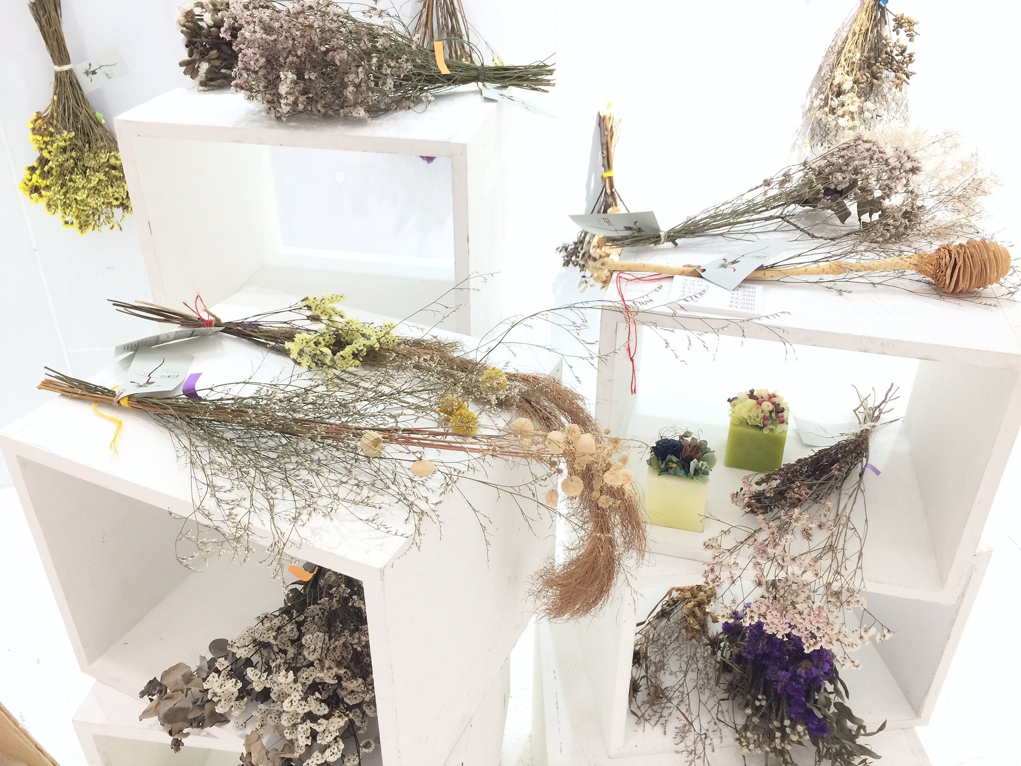 ニュースタア ドライフラワー タキフルリスト さんのドライフラワーは特にこれからの季節お部屋をおしゃれにしてくれるアイテムの1つです お値段も 600 Tax とお手頃なのでギフトにも ドライフラワー ギフト T Co Mpf3jlutfu