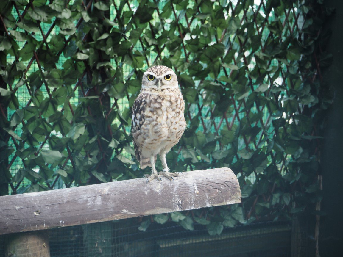 openrivers's tweet photo. I'm watching you ! https://t.co/tQZXOIxuf0