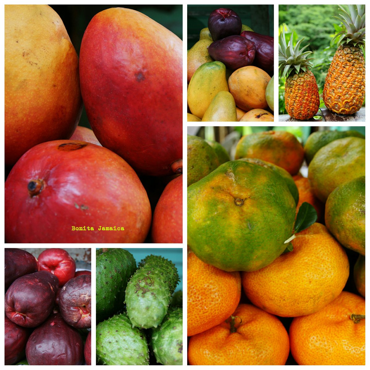 BonitaJamaica's tweet photo. All fruits ripe; health and wellness. #Travel #Jamaica #Healthcation #Fruit #Wellness #Health https://t.co/DAqOxoQK1T