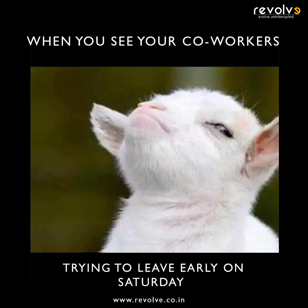 revolvepune's tweet photo. #Saturdaybelike @Revolvepune #Revolvepune https://t.co/kIiicffUoF