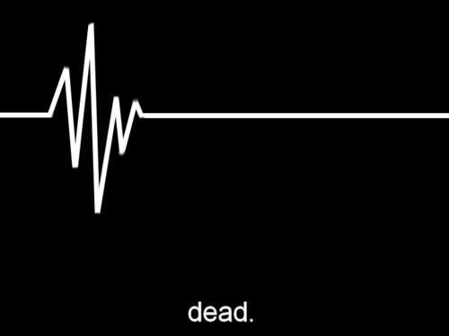 AmigaBoing's tweet image. Here is #AppleTechSupport #inanutshell - Hello? anybody there? Hello? Hello? Hello? &amp;lt;bzzzzzzzzzzzzzzzzzzzzzzz.....&amp;gt;