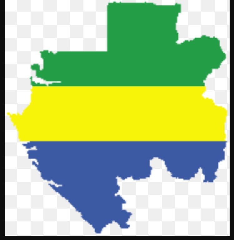 Courage au peuple gabonais 😳😳.... @commendomando de tt coeur avec toi et ton peuple mon copain!!❤️❤️ Peace