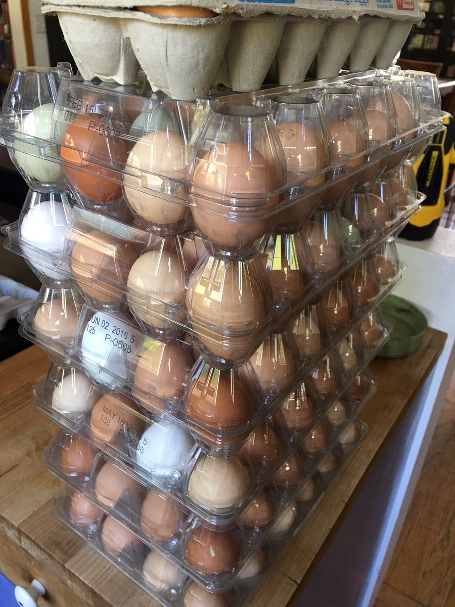 LPFarmstead's tweet photo. 13 dozen #farmfresh #organicfreerangeeggs to sell off. The #chickens have been busy. https://t.co/almJrhRsKi