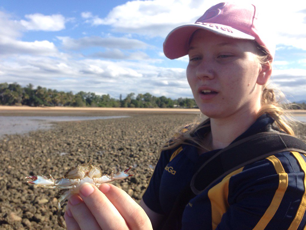 deborah_bower's tweet photo. Finding #crabs and #seasnail eggs at the #beach #experiencejcu #dsbclass #tropbio https://t.co/c38m58dbCu
