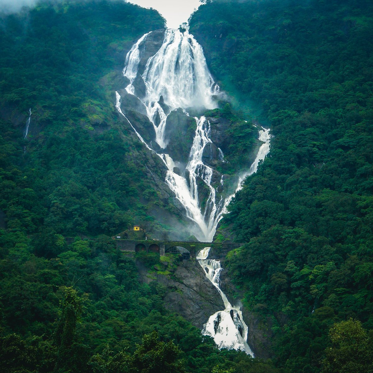 #Monsoons are withdrawing, get up and make a dash for #Dudhsagar Falls. bit.ly/GoaUnusual

#ownyourtrip #goa