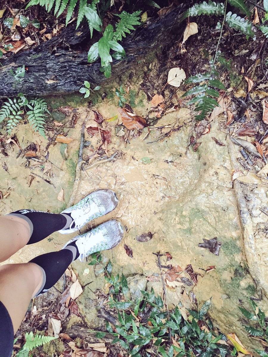 jerseyen's tweet photo. #Taiwan #beastrunners #run #beastrun #trail https://t.co/DsSXHfPUJ0