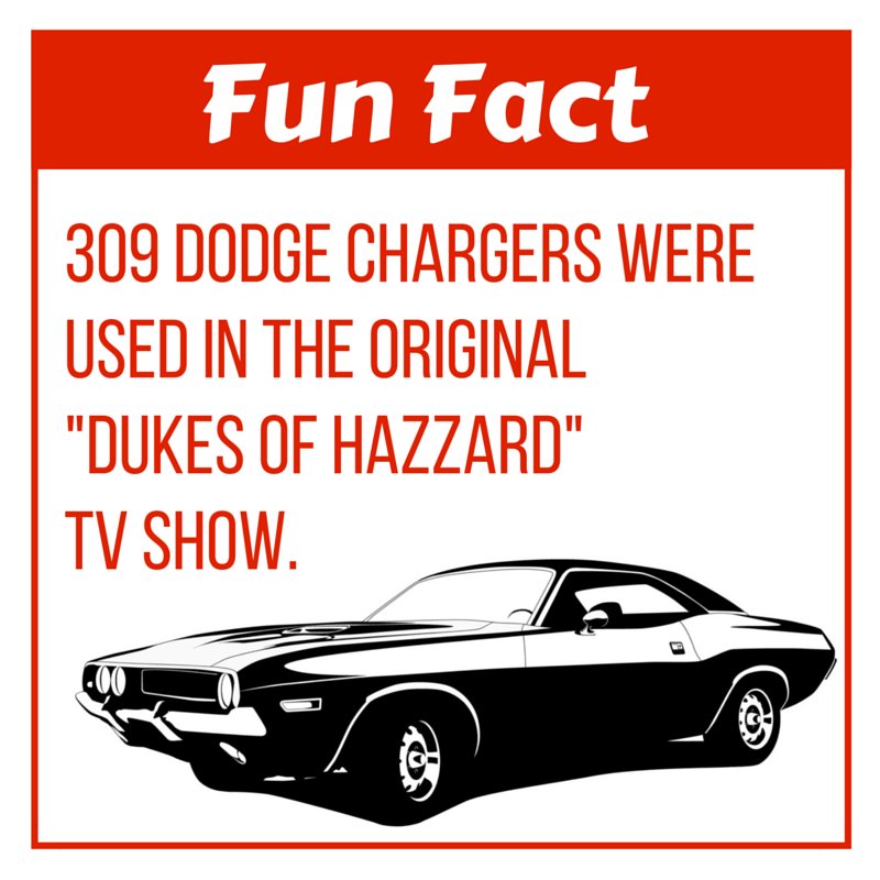 Extreme Wheels tweet media